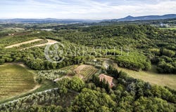 Montepulciano, Tuscany 53045