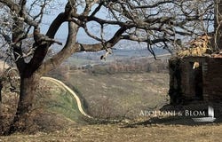Torrita di Siena, Toscana|Tuscany 53049