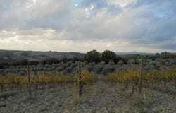 Terni, Umbria 05100