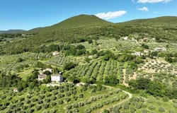 Guardea, Umbria 05025