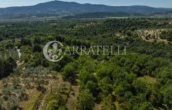 Città della Pieve, Umbria 06062