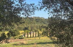Perugia, Umbria 06126