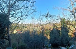 Vinci, Tuscany 50059