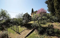 Arezzo, Toscana|Tuscany