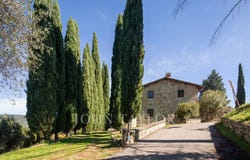 Firenze, Tuscany 50100