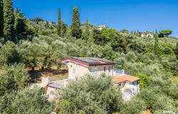 Camaiore, Camaiore, Tuscany 55041