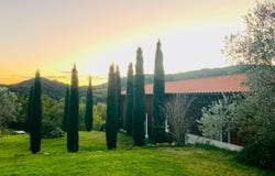 Pomarance, Tuscany 56044