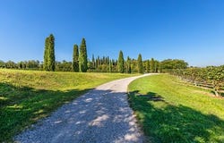 Desenzano del Garda, Lombardia|Lombardy