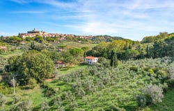 Montescudaio, Pisa 56040
