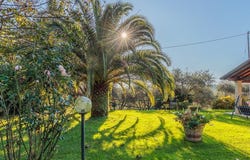 Camaiore, Tuscany 55041