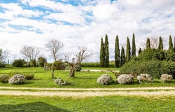 Montiano, Tuscany 58051