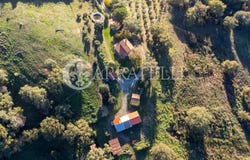 Scansano, Tuscany 58054
