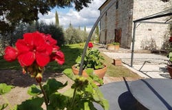 Montalcino, Tuscany 53024
