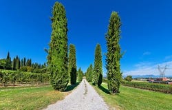 Desenzano del Garda, Lombardia|Lombardy
