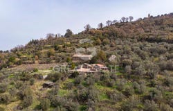 Montalcino, Tuscany 53024