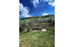 Castagneto Carducci, Tuscany 57022