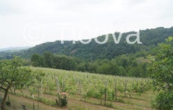 Alfiano Natta, Piedmont 15021