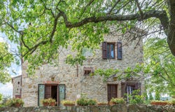 Castiglione d'Orcia, Tuscany 53023