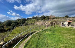 Grosseto, Tuscany 58100
