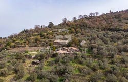 Montalcino, Siena