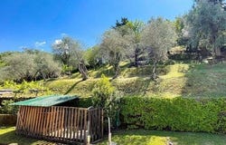 Capezzano Pianore, Tuscany 55041