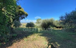 Montepulciano, Siena
