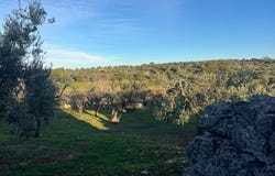 Ostuni, Apulia 72017