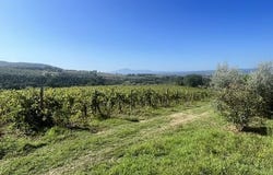 Montecchio, Umbria
