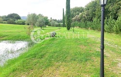 Grosseto, Tuscany 58100