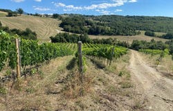 Seggiano, Tuscany 58038