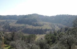 Usigliano, Tuscany 56035