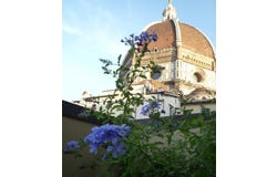 Via Ricasoli, Florence, Tuscany 50122