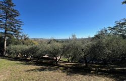 Cartoceto, Marche 61030
