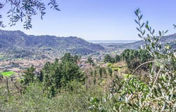 Camaiore, Tuscany 55041