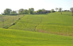 Grosseto, Tuscany 58100