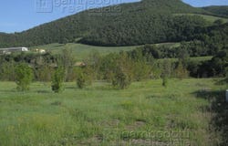 Acqualagna, Marche 61041