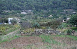 Ustica, Sicily 90010
