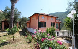 Strada Canove, Vallebona, Liguria 18012