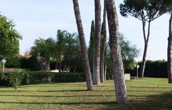 Rome, Lazio 00163