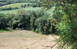 Cinigiano, Toscana|Tuscany