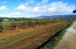 Arezzo, Tuscany 52100