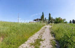 Castiglione d'Orcia, Tuscany 53023