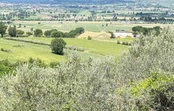 Montefalco, Umbria