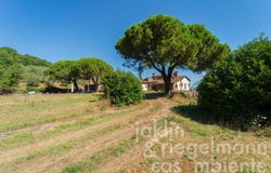 Figline Valdarno, Tuscany 50063