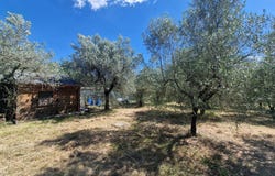 Amelia, Umbria 05022