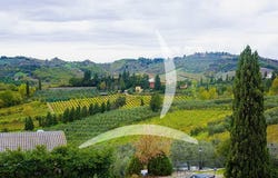 Certaldo, Tuscany 50052
