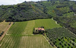 Controguerra, Abruzzo 64010