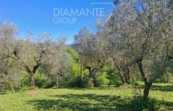 Panicale, Umbria