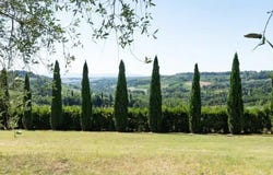 San Gimignano, Tuscany 53037