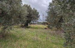 Castiglione Del Lago, Umbria